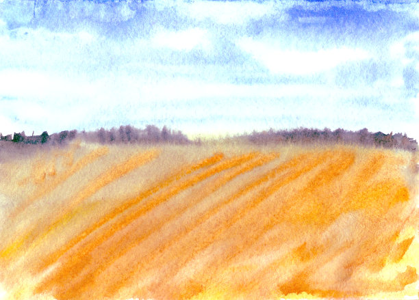 夏季景观有蓝天、白云、田野和森林。图片下载