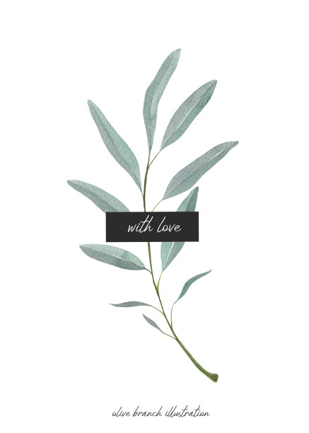 水彩橄榄枝与树叶。爱文字。真正的水彩画图片下载
