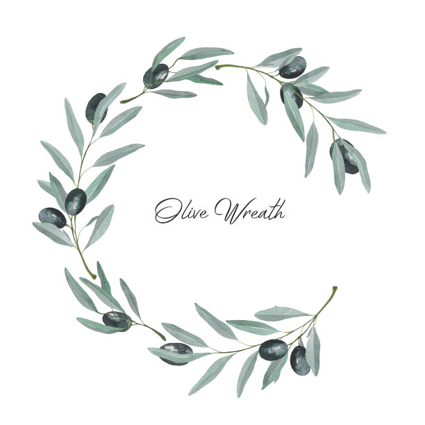 漂亮的橄榄枝花环。真正的水彩画。植物插图图片下载