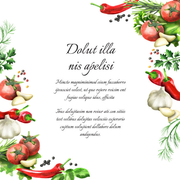 香草和香料框架。水彩背景和模板图片下载