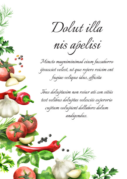 香草和香料。水彩背景和模板图片下载