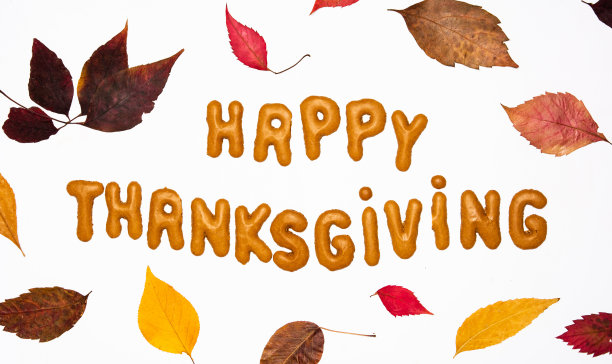 带有季节性装饰的感恩节卡片图片下载