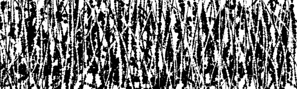 抽象表现主义黑白水墨画飞溅点在纸波洛克风格在地平线全景为壁纸背景图片下载