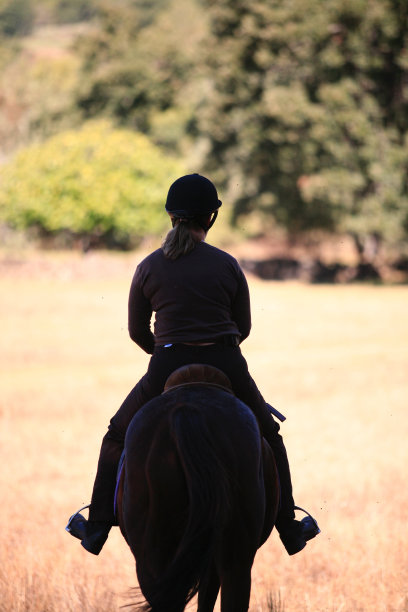 马与骑手2图片下载