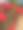 夏天公园里的红玫瑰花丛图片下载