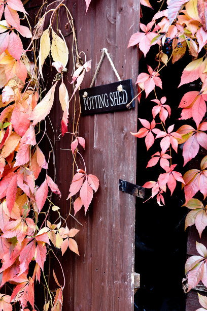 盆栽棚2图片下载