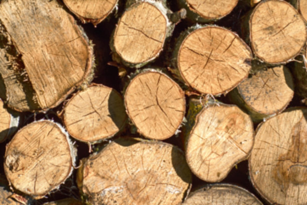 背景是干的劈柴，彼此堆在一起。图片下载