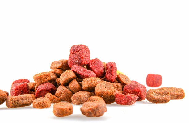 干狗粮图片下载