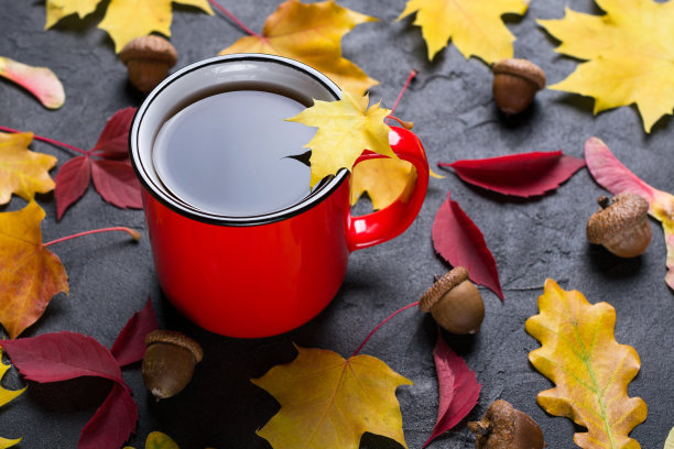 秋天五颜六色的叶子和一杯红色的茶在黑色的混凝土背景图片下载