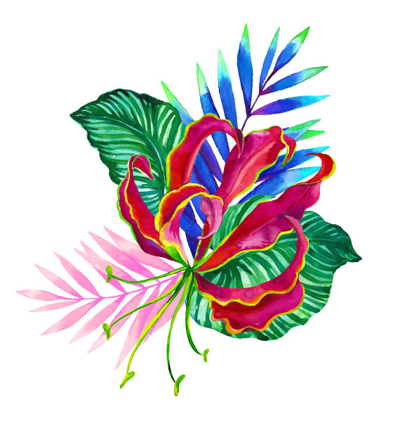 水彩热带花束:百合、棕榈、象耳。图片下载