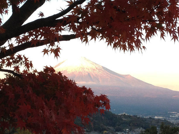 富士山在秋天被染成红色图片下载