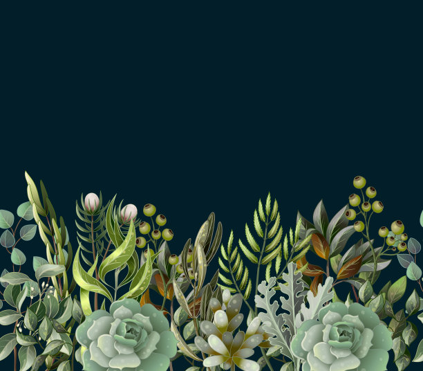 在水彩画风格与叶和肉质的边界。桉树、木兰、蕨类植物等载体插图。图片下载