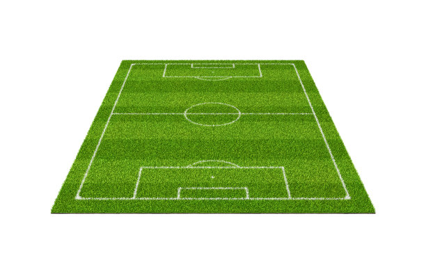 一个足球草地运动场地的3d渲染与白线图片下载