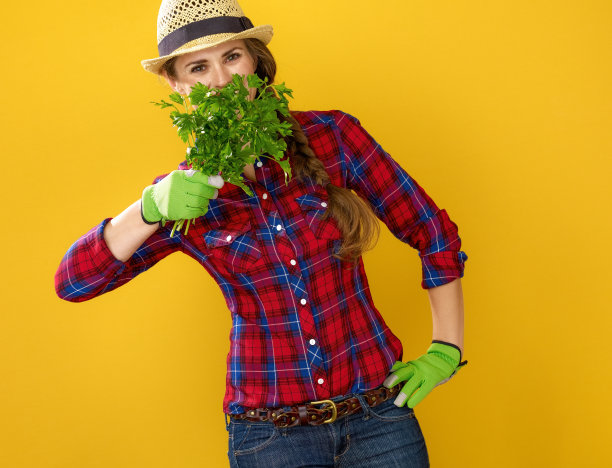 女农夫在黄色的背景下躲在新鲜的欧芹后面图片下载
