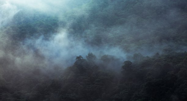 雾围绕山坡图片下载