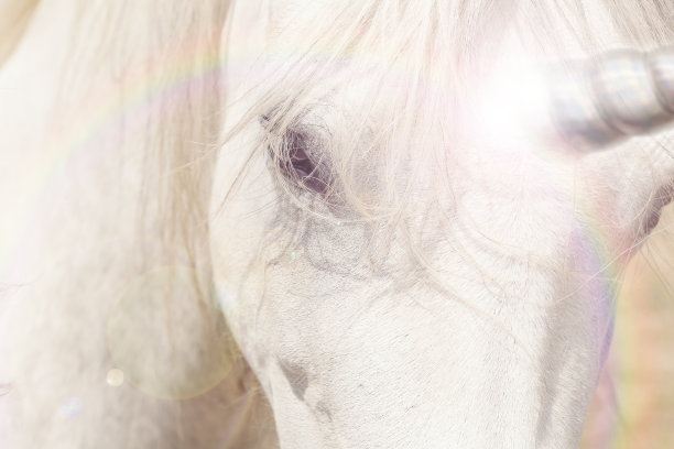 独角兽图片下载