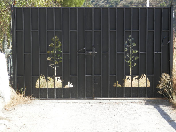 金属门与模板树图片下载