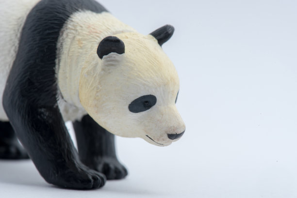 熊猫模型孤立在白色背景图片下载