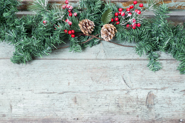 圣诞装饰槲寄生，冬青与浆果，常春藤和松果图片下载