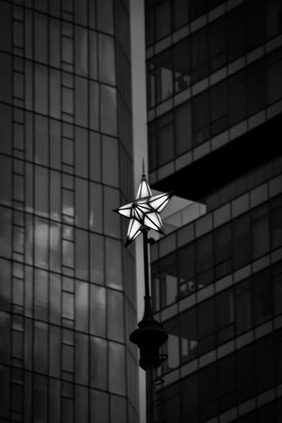 我的星星永远闪亮图片下载