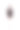 优雅和现代亚洲自信的商业女性在lookbook风格孤立的白色背景。图片下载