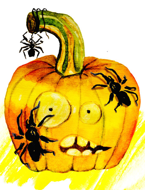 万圣节南瓜与蜘蛛的水彩插图图片下载