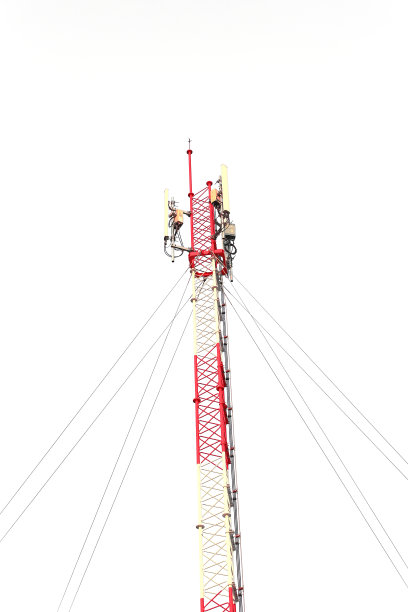 白色自行车和鲜花的照片图片下载
