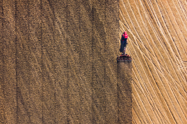 在大片麦田里，联合收割机的鸟瞰图。在初秋的时候，田间的干草和收割工作。拖拉机割干草。为冬天做准备图片下载