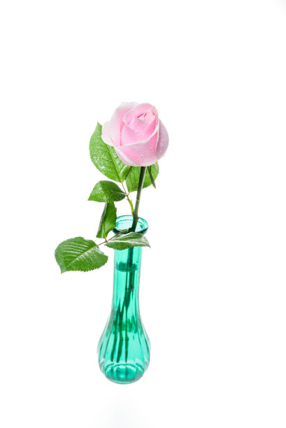 粉红色的玫瑰在一个绿色的花瓶里。在白色背景或孤立图片下载