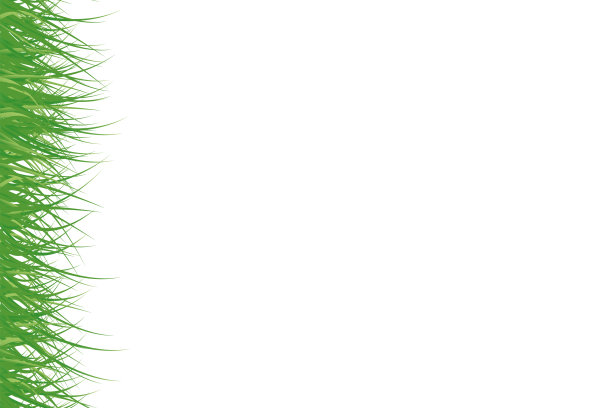 绿色的草。图片下载