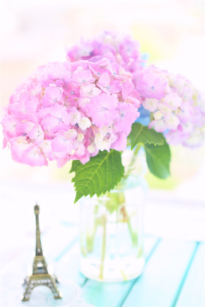 一束盛开的美丽的粉红色绣球花在清楚的花瓶在木桌子上，明亮和散焦的窗户背景1图片下载