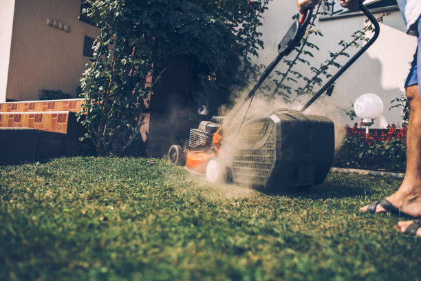 家庭园艺图片下载