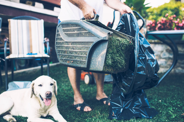 家庭园艺图片下载