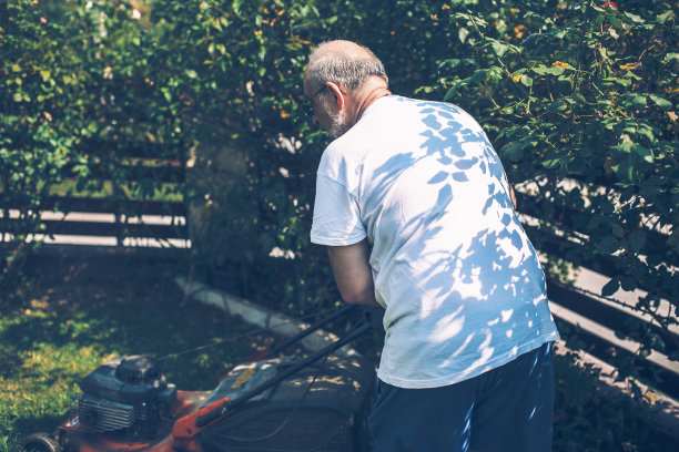 家庭园艺图片下载