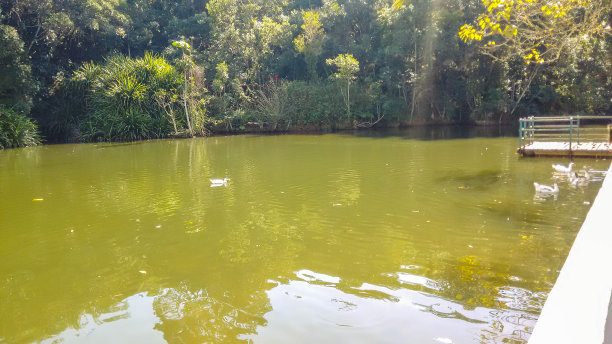 喷泉公园-伊瓜普/ SP图片下载