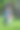 快乐的小男孩和他的父亲迈出了人生的第一步图片下载