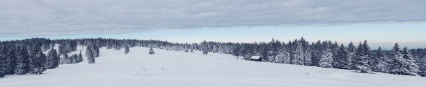冬季森林全景图片下载