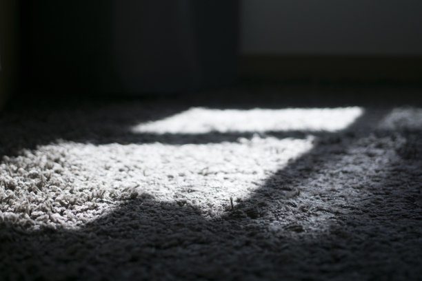 地毯上的窗影图片下载