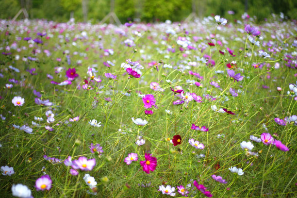 VH503宇宙图片下载