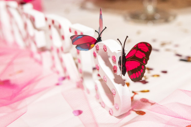 人工蝴蝶图片下载