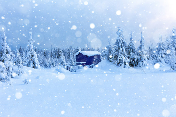 冬天森林里孤独的房子图片下载