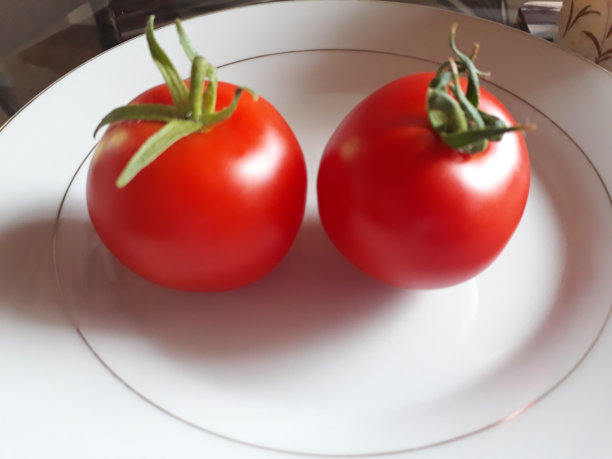 红色的西红柿图片下载