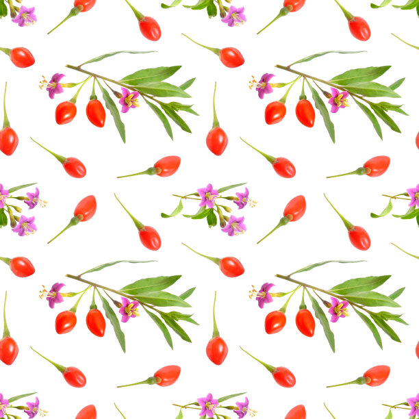 枸杞或枸杞，花孤立在白色背景上。无缝的背景图片下载