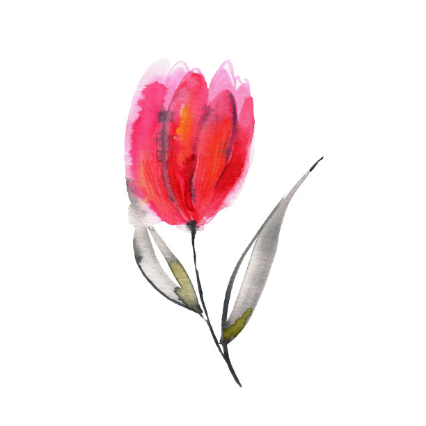 可爱的水彩手画粉红色的花。的邀请。婚礼卡片。生日贺卡图片下载