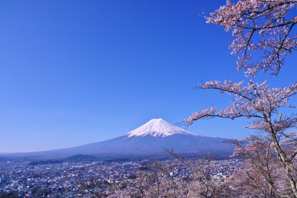 富士山和樱花图片下载