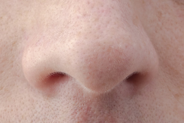 男性鼻子图片下载