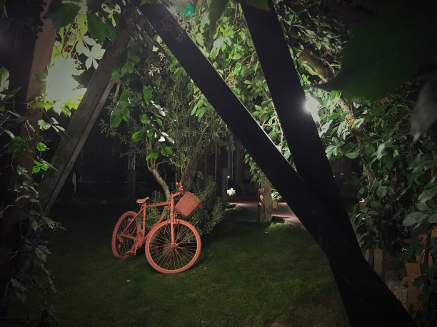 花园装饰图片下载