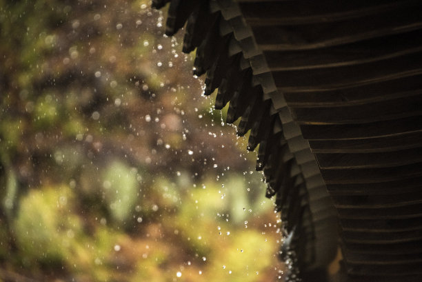 VD727 雨滴图片下载