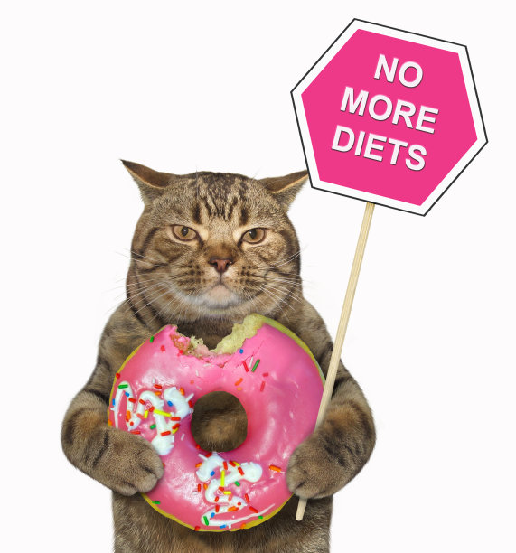 猫拿着一个标志和一个被咬的甜甜圈图片下载