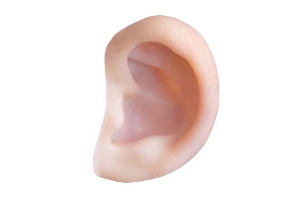 儿童耳朵关闭孤立在白色背景。微距图像与选择焦点图片下载